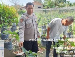 Bhabinkamtibmas Polsek Talang Kelapa Gerakkan Masyarakat Dukung Program Swasembada Pangan Presiden