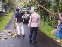 Respon Cepat Kapolsek Bebandem: Evakuasi Pohon Tumbang yang Melintang di Jalan dan Kabel Listrik