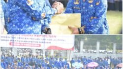 5.548 PPPK Paruh Waktu Dilantik di RTH Cot Gapu Bireuen, Bupati Tekankan Profesionalisme