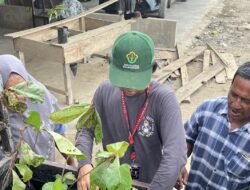 Tanam 100 Pohon, Mahasiswa KKN Relawan Teknik Industri Universitas Malikussaleh Dorong Pemulihan Lingkungan di Gampong Paya Tukai