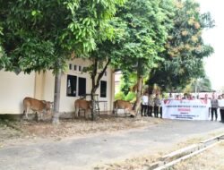 Mahasiswa STIK Angkatan 83 WPS Sindikat II Serahkan Hewan Meugang untuk Warga Terdampak Bencana di Aceh Timur