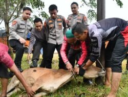 Mahasiswa STIK Lemdiklat Polri Serahkan Hewan Meugang untuk Warga Huntara, Aceh Timur