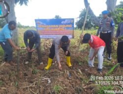 Polsek Pemulutan Dukung Ketahanan Pangan, Laksanakan Penanaman Jagung di Desa Pemulutan Ilir