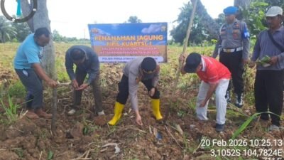 Polsek Pemulutan Dukung Ketahanan Pangan, Laksanakan Penanaman Jagung di Desa Pemulutan Ilir