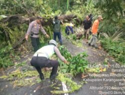 Respon Cepat Personel Polsek Rendang Evakuasi Pohon Tumbang, Percepat Kelancaran Arus Lalu Lintas