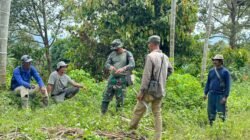Perkuat Sinergi di Lapangan, Satgas TMMD Laksanakan Komsos Bersama Petani di Jeumpa Sikureng.