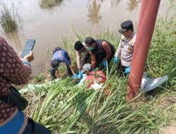 Kapolsek Rambutan Turun Langsung Terkait Ditemukannya Mayat Pria di Persawahan Sungai Pinang,