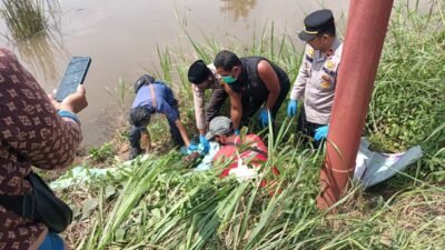 Kapolsek Rambutan Turun Langsung Terkait Ditemukannya Mayat Pria di Persawahan Sungai Pinang,