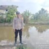 Polsek Pemulutan Lakukan Pemantauan Debit Air Sungai, Situasi Masih Aman dan Terkendali