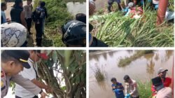 Kapolsek Rambutan Turun Langsung Terkait Ditemukannya Mayat Pria di Persawahan Sungai Pinang,