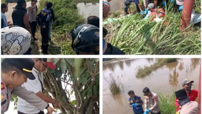 Kapolsek Rambutan Turun Langsung Terkait Ditemukannya Mayat Pria di Persawahan Sungai Pinang,