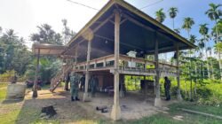 Satgas TMMD Laksanakan Pengecatan Balai Pengajian Bustanul Falah Assamdiah di Jeumpa Sikureueng