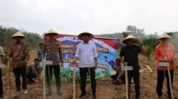 Polres Mesuji Melaksanakan Penanaman Jagung Serentak Kuartal I Tahun 2026 di Desa Jaya Sakti