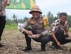 Dukung Ketahanan Pangan, Kapolres Karangasem Bersama Forkopimda Tanam Jagung Serentak di Desa Bungaya