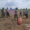 Sinergi Polsek Pemulutan Bersama Unsur Pemerintah dan Kelompok Tani Tanam Jagung Pipil Dukung Swasembada Pangan
