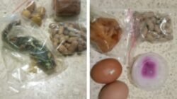 Masyarakat Oku Timur Sangat Mendukung Kinerja SPPG Kabupaten Oku Timur Turun Langsung TinjauLokasi Gudang SPPG