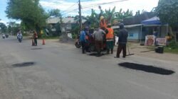 Dinas PU Bina Marga Jember Bersama Tim URC, Perbaiki Ruas Jalan di Kecamatan Puger