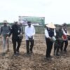 Sinergi TNI dan Pemerintah, Tanam Padi Bersama Gubernur Sumsel di Desa Sungai Dua