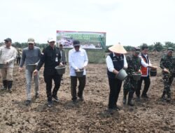 Sinergi TNI dan Pemerintah, Tanam Padi Bersama Gubernur Sumsel di Desa Sungai Dua