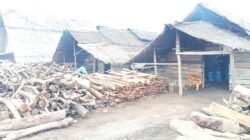 “Tanoh Anoe Jangka, Sentra Penghasil Garam Terbesar di Aceh: Petani Harapkan Dukungan Modal dan Pembinaan Pemerintah”