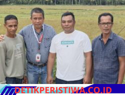 Program Pemulihan Ekonomi Masyarakat Pasca Bencana Melalui Penanaman Jagung