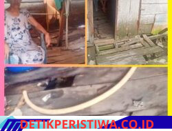 Janda di Kertapati Bertahan di Rumah Tak Layak Huni Selama Tiga Tahun
