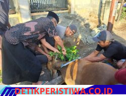 Sapi Kurban Bupati Lombok Timur untuk Masjid Al-Ittihad Kembang Kuning, Wujud Perhatian kepada Masyarakat