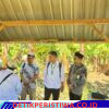 Lumbung Pangan Baznas Lotim Angkat Kesejahteraan Petani, Kini Beralih Jadi Pembayar Zakat