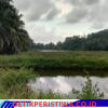 Waduk Lhok Batee Butuh Normalisasi, Keuchik Sudirman Harapkan Perhatian Pemerintah