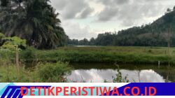 Waduk Lhok Batee Butuh Normalisasi, Keuchik Sudirman Harapkan Perhatian Pemerintah
