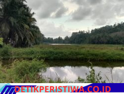Waduk Lhok Batee Butuh Normalisasi, Keuchik Sudirman Harapkan Perhatian Pemerintah