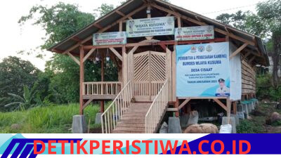 BUMDES Wijaya Kusuma Desa Cisaat kecamatan Dukupuntang kabupaten Cirebon manfaat kan Anggaran Ketahanan pangan unit peternakan Kambing