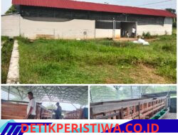 Bumdes Wiguna telah reslikan ketahanan pangan tahun 2025 untuk dukung program Peternakan Kambing dan Ayam Sentul