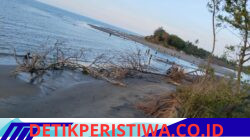 Pantai Pante Paku di Kecamatan Jangka Terbelah Menjadi Dua Kuala, Tambak Warga Hancur, Masyarakat Desak Penanganan Segera