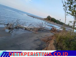 Pantai Pante Paku di Kecamatan Jangka Terbelah Menjadi Dua Kuala, Tambak Warga Hancur, Masyarakat Desak Penanganan Segera