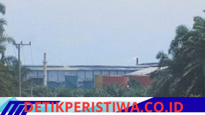 ‎Diduga Tekan Media untuk Hapus Berita BLT dan Krisis Air, Sikap Kades Bukit Makmur Menuai Sorotan