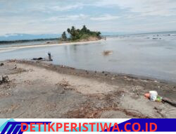 Empat Jalan Putus Berubah Menjadi Muara, 400 Hektar Tambak Udang di Jangka Hancur Diterjang Air Pasang