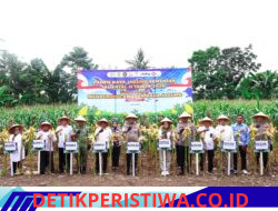 Panen Raya Jagung di Pangkep, Kapolda Sulsel: Perkuat Ketahanan Pangan Nasional