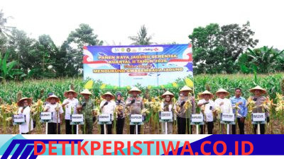 Panen Raya Jagung di Pangkep, Kapolda Sulsel: Perkuat Ketahanan Pangan Nasional