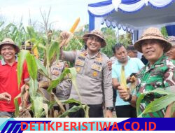 Bersinergi dengan Forkopimda Karangasem, Kapolres AKBP I Made Santika Pimpin Panen Raya Jagung Serentak di Bebandem