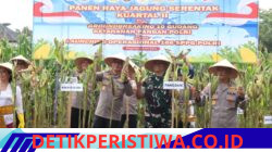 Pimpin Panen Raya Jagung Serentak di Buleleng, Wakapolda Bali Tegaskan Petani Tetap Jadi Pelaku Utama