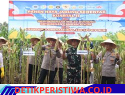 Pimpin Panen Raya Jagung Serentak di Buleleng, Wakapolda Bali Tegaskan Petani Tetap Jadi Pelaku Utama