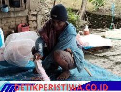 Pasokan Pupuk Subsidi di Lilirilau Disorot, Luas Lahan Ribuan Hektare Dinilai Tak Seimbang dengan Distribusi