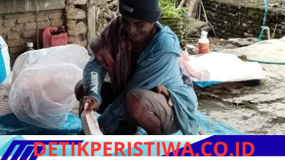 Pasokan Pupuk Subsidi di Lilirilau Disorot, Luas Lahan Ribuan Hektare Dinilai Tak Seimbang dengan Distribusi