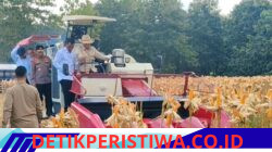 Perkuat Ketahanan Pangan Nasional, Presiden Prabowo dan Kapolri Panen Raya Jagung Nasional di Tuban 