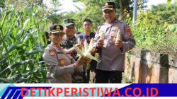 Dukung Ketahanan Pangan Nasional, Polres Jembrana Ikuti Panen Raya Jagung Serentak Kuartal II Melalui Zoom Meeting bersama Presiden Republik Indonesia