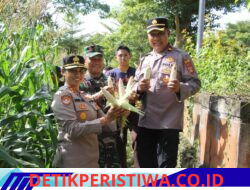 Dukung Ketahanan Pangan Nasional, Polres Jembrana Ikuti Panen Raya Jagung Serentak Kuartal II Melalui Zoom Meeting bersama Presiden Republik Indonesia