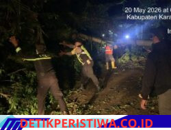 Akses Jalur Sibetan–Selat Karangasem Lumpuh, Akibat Tumbangnya Pohon Jenis Kendal