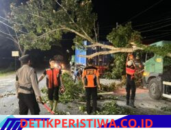 Respon Cepat Personel Gabungan Polres Jembrana Tangani Pohon Tumbang, yang Menimpa Sebuah Truk Kontainer