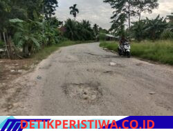 59 Lubang Menganga, Jalan Menje Peut Baktiya Rusak Parah dan Ancam Keselamatan Warga